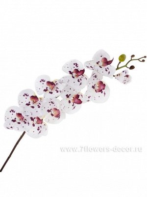 Фаленопсис 94 см цветок с силиконовым покрытием цвет белый Арт H031S-B25