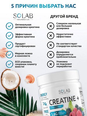 SOLAB Креатин моногидрат, Creatine Monohydrate, Вкус Лесные Ягоды