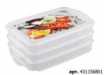 КОНТЕЙНЕР ДЛЯ ПРОДУКТОВ С ДЕКОРОМ &quot;FOOD SYSTEM&quot; 3 СЕКЦИИ, 1Л + 1Л + 1Л