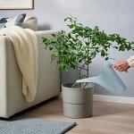 IKEA☆Инвентарь и уход для домашних растений