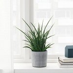 IKEA⋆Инвентарь и уход для домашних растений