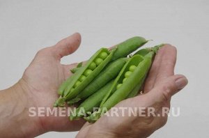 Агрофирма Партнёр Горох овощной Премиум