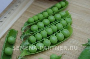 Агрофирма Партнёр Горох овощной Премиум