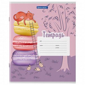 Тетрадь 12 листов BRAUBERG ЛИНИЯ, обложка картон, ОЗОРНЫЕ КОТЫ, 106472