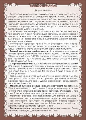 Чага берёзовая (гриб молотый, россыпь) 100 г