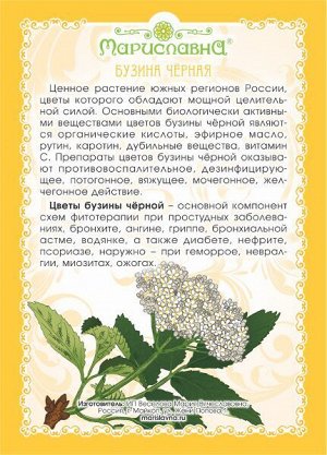 Бузина чёрная цвет. Помощь при кашле, бронхите, повышает защитные силы организма.