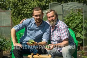 Агрофирма Партнёр Огурец партенокарпический Эстет F1