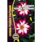 Адениум Черный любовник (Редкие)
