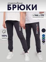 Брюки для мальчика арт.BK1445B(new)