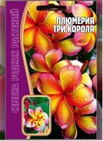 Плюмерия Три короля (Редкие)