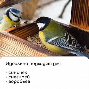 Кормушка для птиц «Кораблик», 24 * 8 * 14 см, Greengo