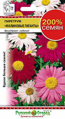 Цветы Пиретрум Малиновые гиганты (200%) (0,4г)