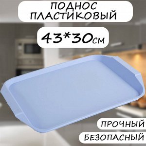 Поднос, прямоугольный, пластик, 30 х 43 см, фиолетовый