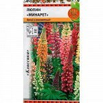 Семена Люпин Минарет 0,5гр