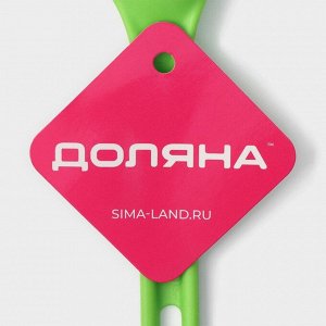 Набор кухонных принадлежностей Доляна «Глори», 3 шт., зелёный