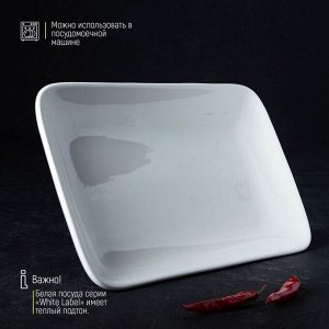 Блюдо фарфоровое прямоугольное Доляна White Label, 24,5x15,5 см, цвет белый