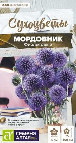 Мордовник Фиолетовый обыкновенный/Сем Алт/цп 0,2 гр.
