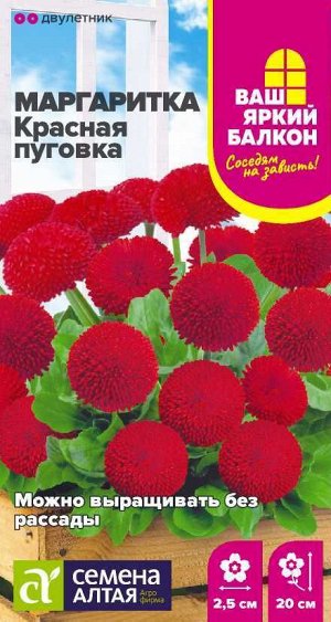 Цветы Маргаритка Красная Пуговка помпонная/Сем Алт/цп 0,05 гр. Ваш яркий балкон
