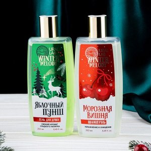 Winter Melody, Подарочный новогодний набор «Чудесного года!», гель для душа, 250 мли шампунь для волос, 250 мл
