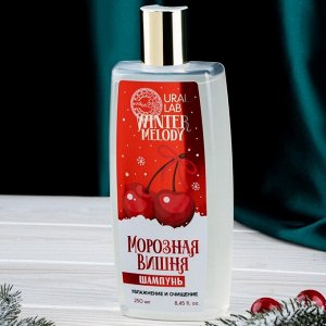 Winter Melody, Подарочный новогодний набор «Волшебного года!», гель для душа, 250 мли шампунь для волос, 250 мл