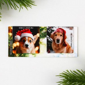 Магнитные закладки для книг, 2 шт. на подложке «Новый год: Мечты сбываются»