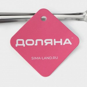 Сито для снятия пены Доляна «Металлик», 24x7,5 см, цвет серебристый