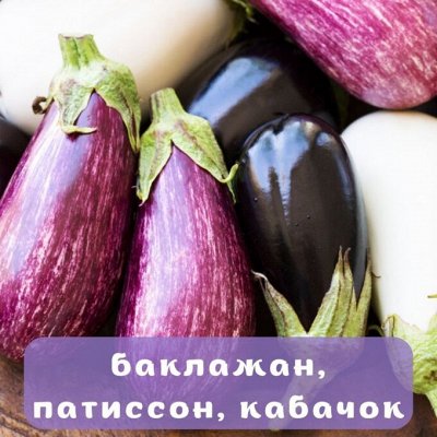 Семена Алтая. Богатый выбор овощных и цветочных семян
