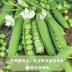 Горох. Кукуруза. Фасоль