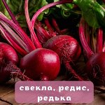 Редька. Редис. Свекла