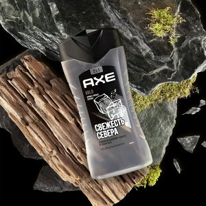 Акс Мужской гель для душа и Шампунь 2в1 Голд 250 мл Axe