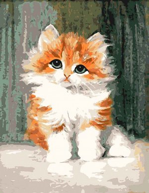 Рисование по номерам  Картина "Рыжий котенок" 30*40