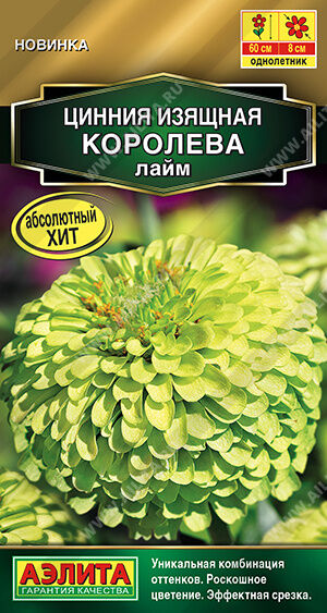 Цинния Королева Лайм (Код: 91814)