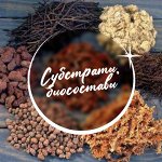Дренаж, песок, мох, перлит, вермикулит, зола