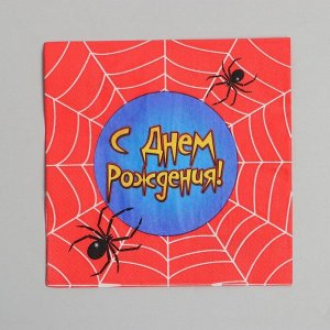 Салфетки бумажные двухслойные «С днём рождения», паутина, 33x33, 20 шт.