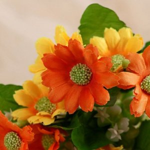 Букет "Астра бельгийская" 14 цветков, d-5 см h-30 см, микс