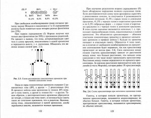 Биология для колледжей. Учебное пособие (978-5-222-27354-8)