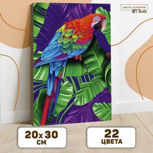 Картина по номерам на холсте с подрамником «Попугай» 20х30 см