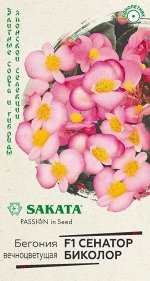 Бегония Сенатор Биколор F1 вечноцв. 4 шт. пробирка, Саката серия Элитная клумба Н21