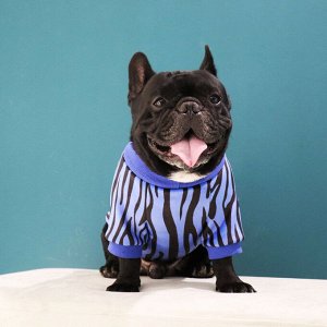 Зимняя куртка для собак