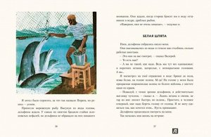 Святослав Сахарнов: Дельфиний остров