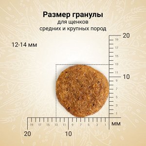 Сухой корм CRAFTIA NATURA для щенков средних и крупных пород из курицы и индейки 640 г