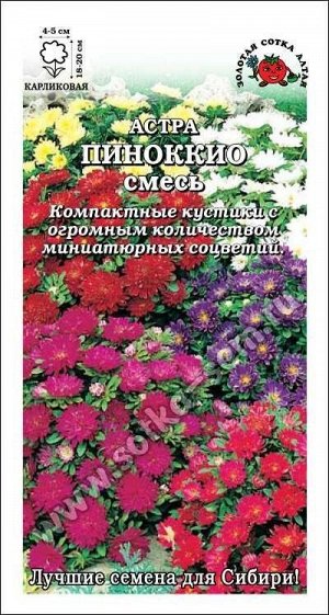 Цветы Астра Пиноккио ЦВ/П (СОТКА) 0,1гр однолетник до 20см