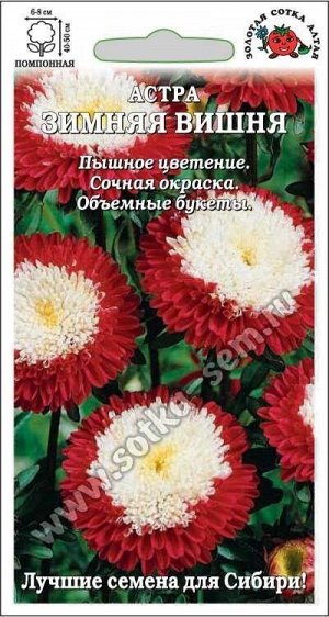 Цветы Астра Зимняя вишня ЦВ/П (СОТКА) 0,1гр однолетник 40-50см