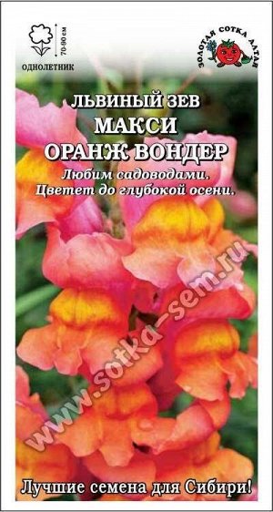 Цветы Львиный Зев Макси Оранж ЦВ/П (СОТКА) 0,1гр однолетник 70-90см