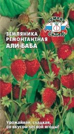 Земляника Али Баба ЦВ/П (СЕДЕК) 0,04гр безусый ремонтантный