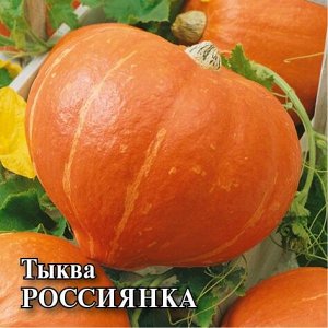 Тыква 25гр Россиянкая ЦВ/П (ГАВРИШ) раннеспелый