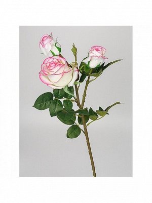 Роза Диана на ветке 78 см1 шт 6 бутонов цв белый с розовым