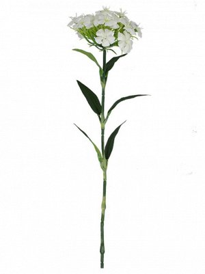 Гвоздика кустовая 55 см цвет белый арт. KLP0166/P166-10