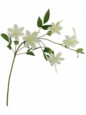 Клематис 78 см цветок искусственный цвет белый KLP0158/P50-5