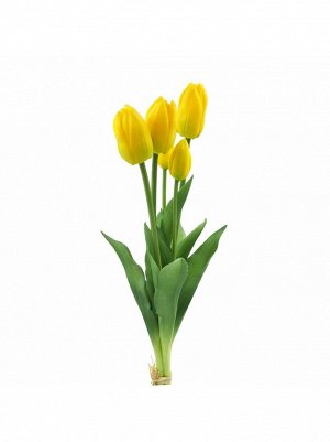 Тюльпан 47 см букет из цветков цвет желтый HS 31-3